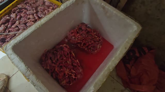 Feed In Red Water