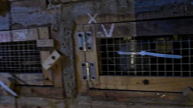 Cage Door Latch
