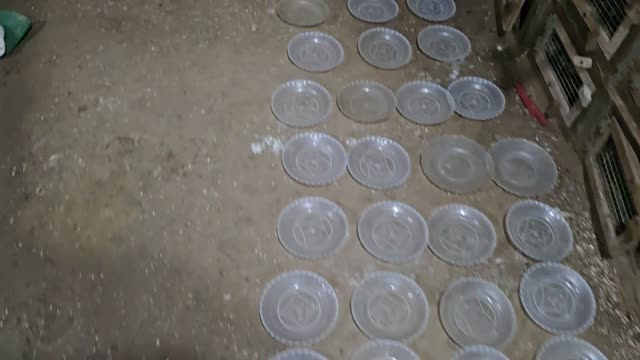 Many Feeding Plates