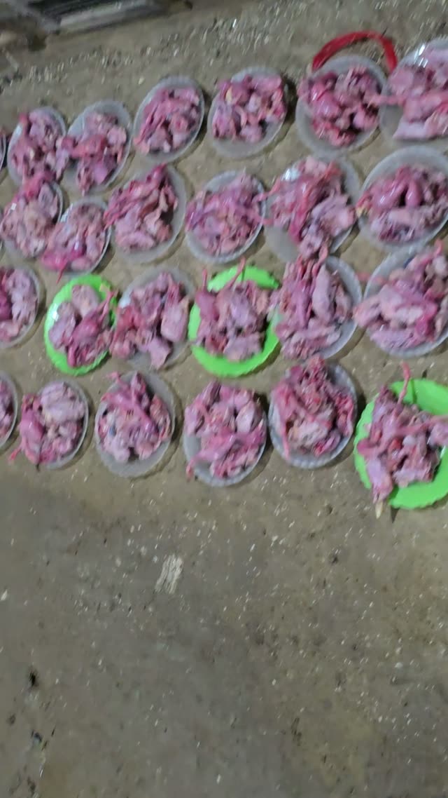 Feed Plates With Supplement
