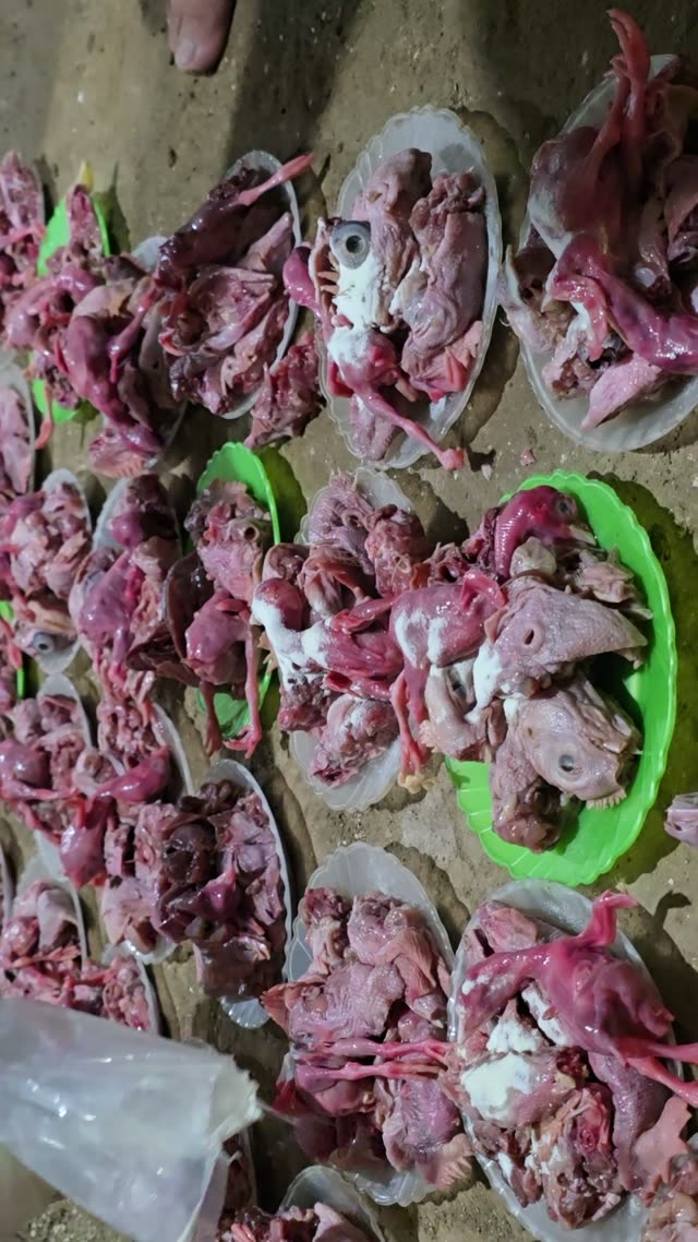 Plates Of Raw Feed
