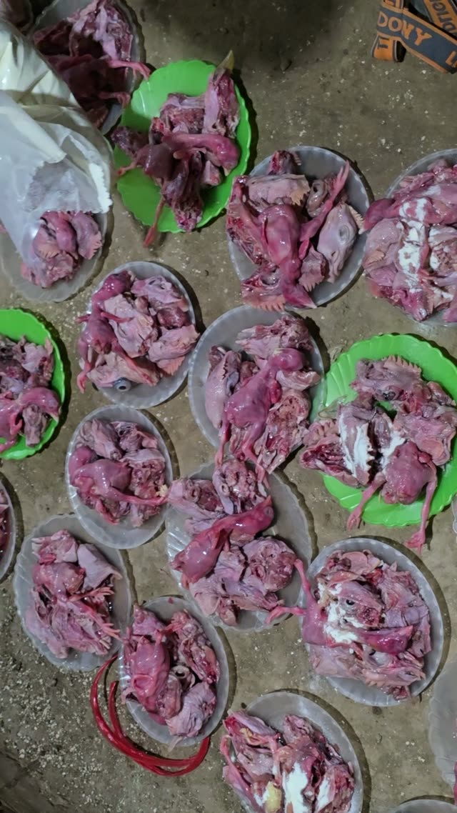 Rows Of Feed Plates