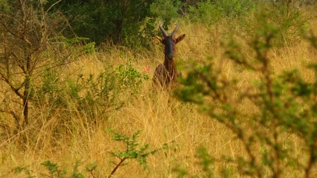 Rangers Continue Fieldwork Near Truck