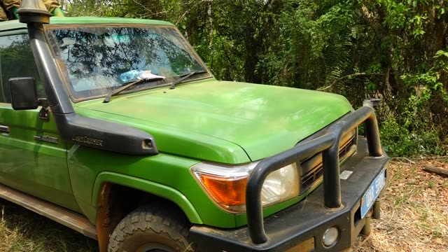 Parked Vehicle In The Forest
