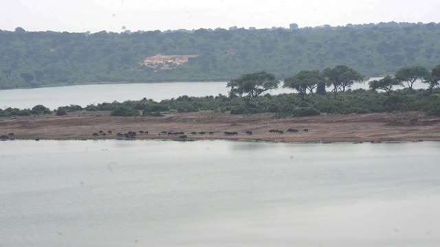 Buffalo Crossing Land Bridge