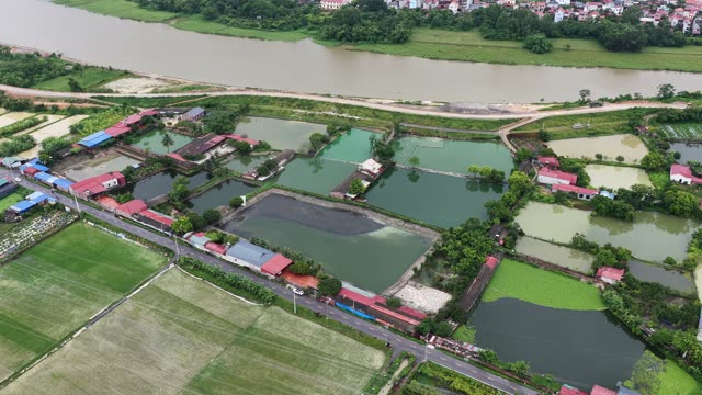 Drone View Of Duck Farm Complex