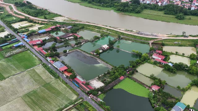 Duck Farm Near River Landscape