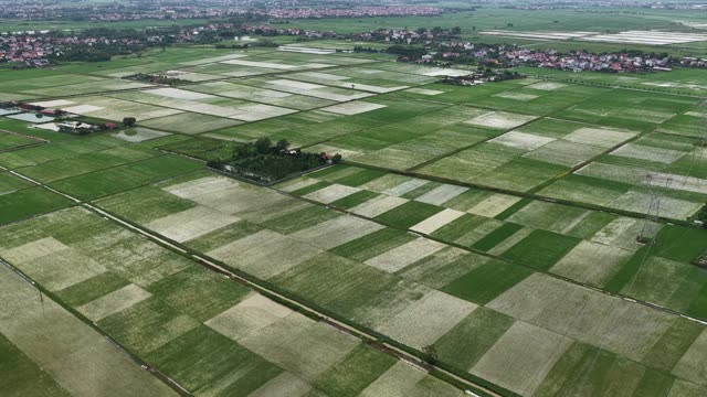 Aerial View Of Duck Farm