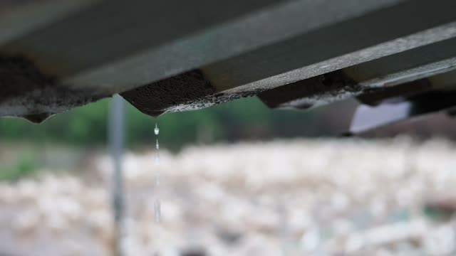 Water Draining Into Duck Pond