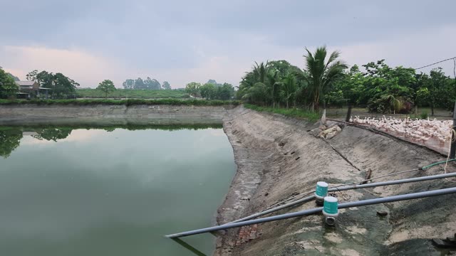 Duck Farm Pond Landscape