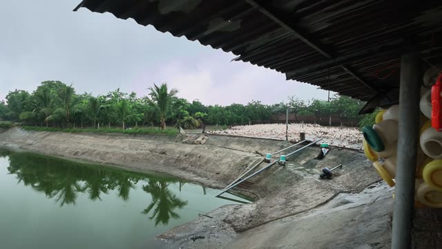 Duck Farm Ponds Panorama