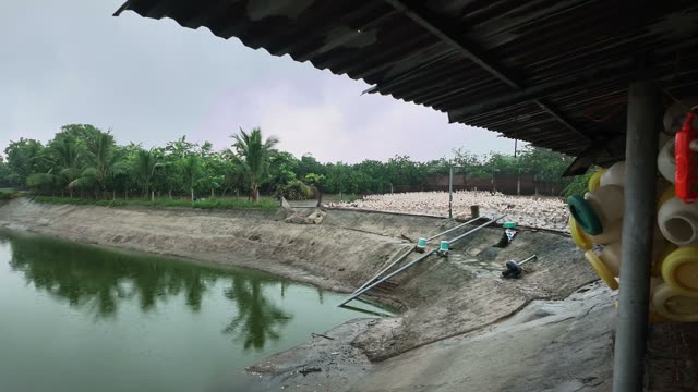 Water Valve At Duck Farm Pond