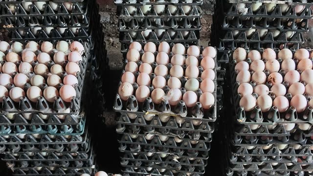 Stacked Trays Of Duck Eggs