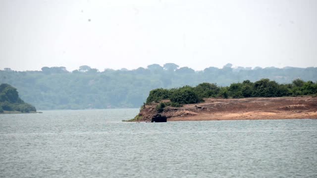 Elephant Alone On Wide Lake