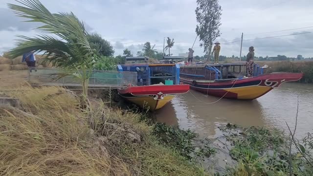Boats On A Rural River