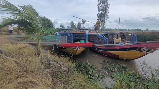 Boats On A Rural River