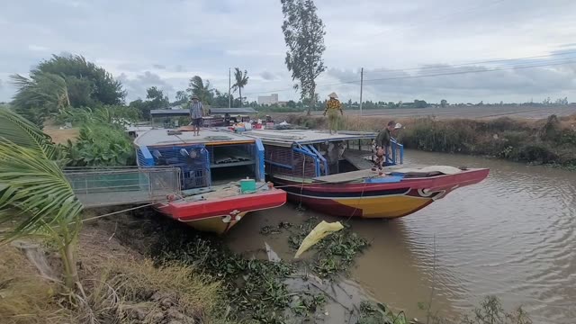 Boats On A Rural River