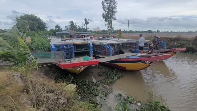 Boats On A Rural River