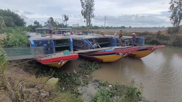 Boats On A Rural River