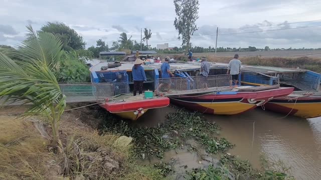 Boats On A Rural River