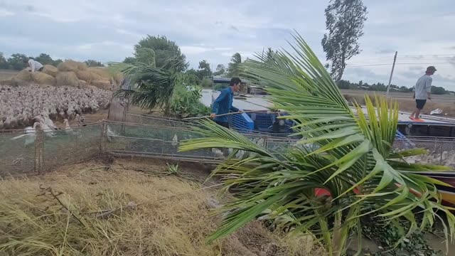 Boats On A Rural River