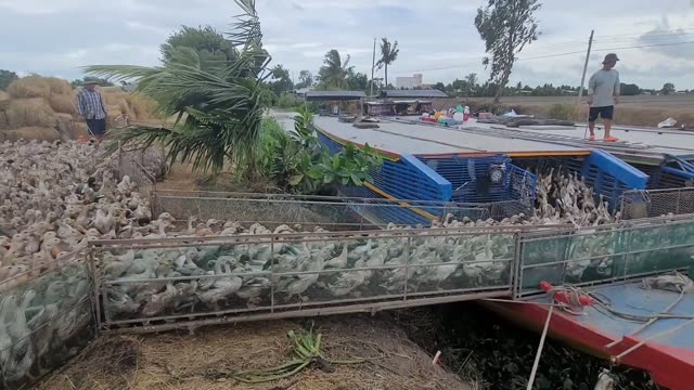Boats On A Rural River