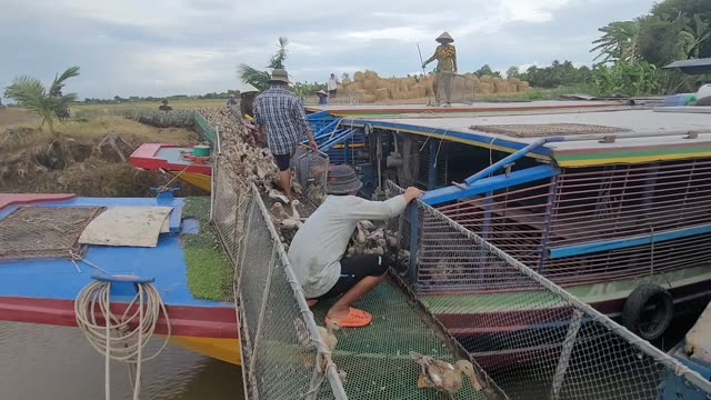 Boats On A Rural River
