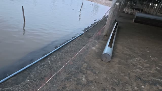 Pipe Along Pond Edge