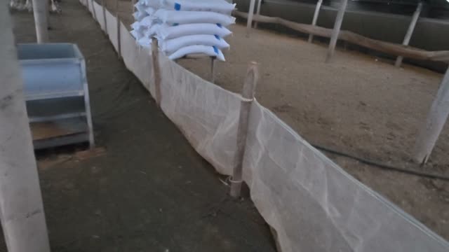 Feed Sacks By Barn Fence