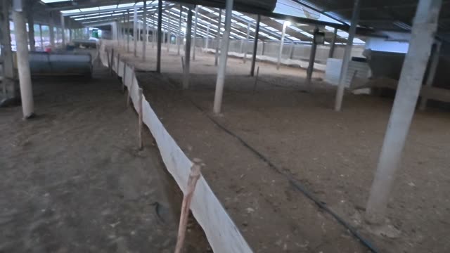 Empty Long Duck Barn