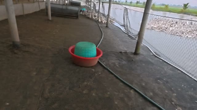 Basin In Barn By Pond