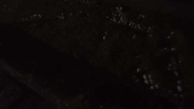 Duck Eggs In Dark Barn