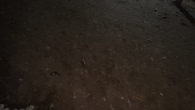 Dark Dirt Barn Floor