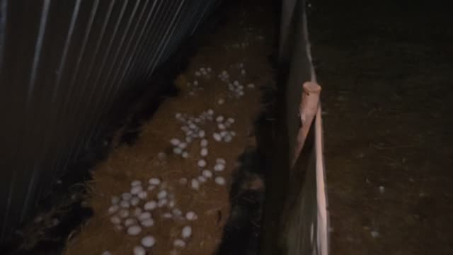 Eggs Beside Corrugated Wall
