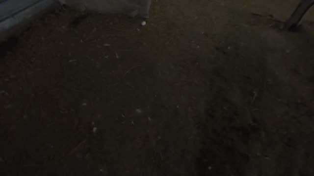 Dim Barn Floor At Night