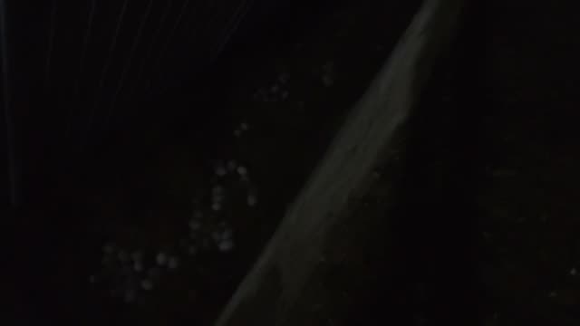 Faint Eggs In Dark Pen